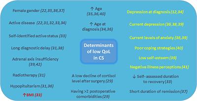 Quality of Life in Patients With Cushing's Disease